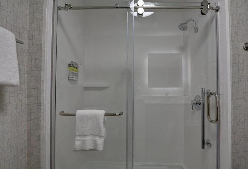 带大床的套房, Holiday Inn Express & Suites   Greenville   Taylors, An Ihg