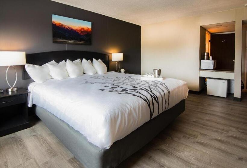 Апартаменты 2 Спальни, Expedition Lodge Estes Park