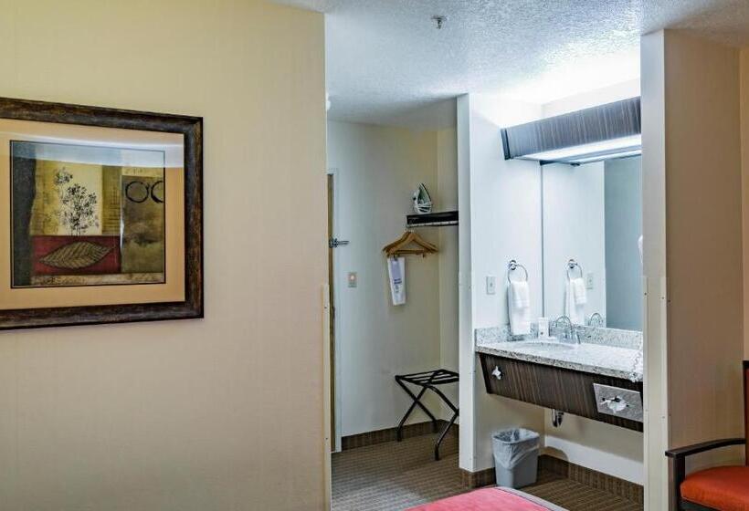 اتاق استاندارد با تخت بزرگ, Inn America  Boise