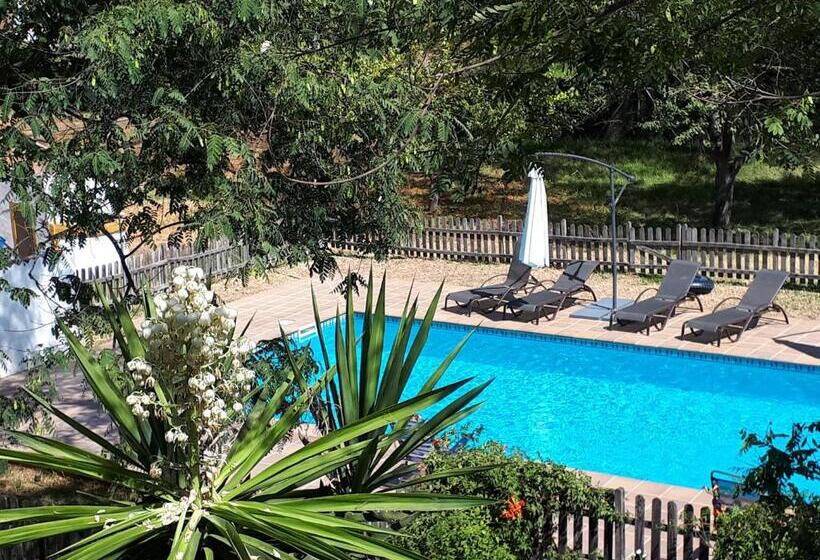 Номер Deluxe, Cortijo Los Conquistadores