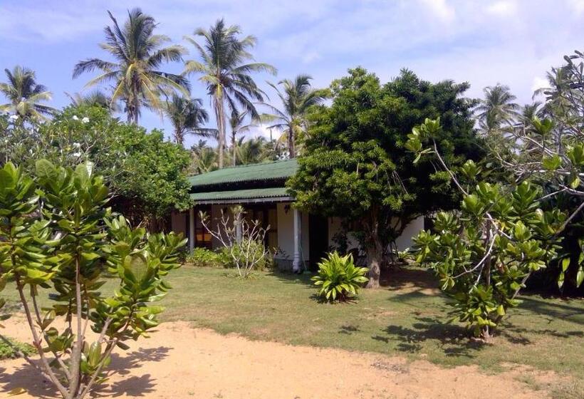 Family Suite, Dreamvillage