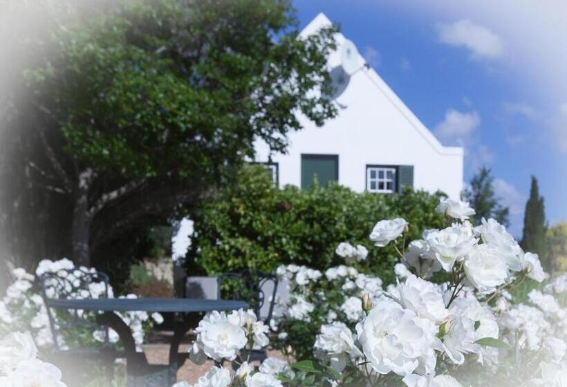 اتاق استاندارد, Sanddrif Stellenbosch Guest Farm