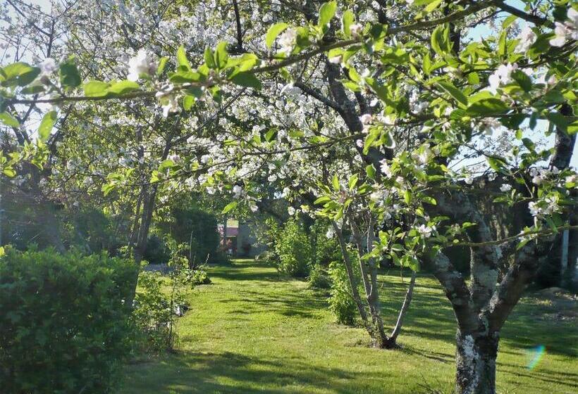 Номер Стандарт, Chambres D Hôtes Anne Marie