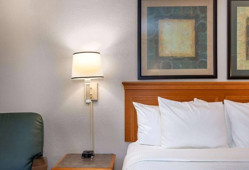디럭스 룸, La Quinta Inn By Wyndham Tallahassee North