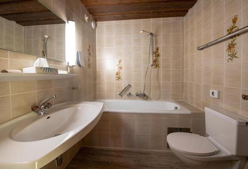 اتاق استاندارد, Haus Gamberg