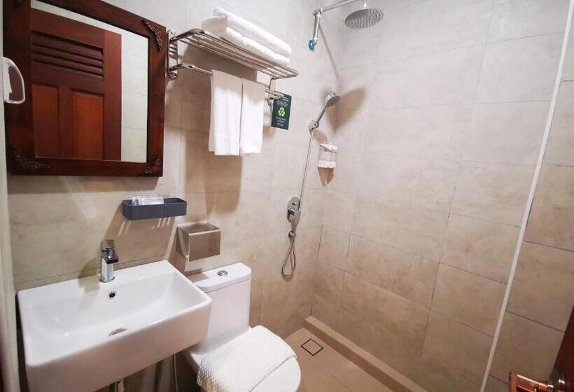 اتاق سوپریور با تخت بزرگ, Mclane Boutique