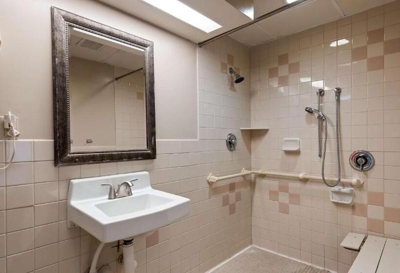 Номер Стандарт Кровать Кинг Адаптированный для Инвалидов, Surestay Hotel By Best Western East Brunswick