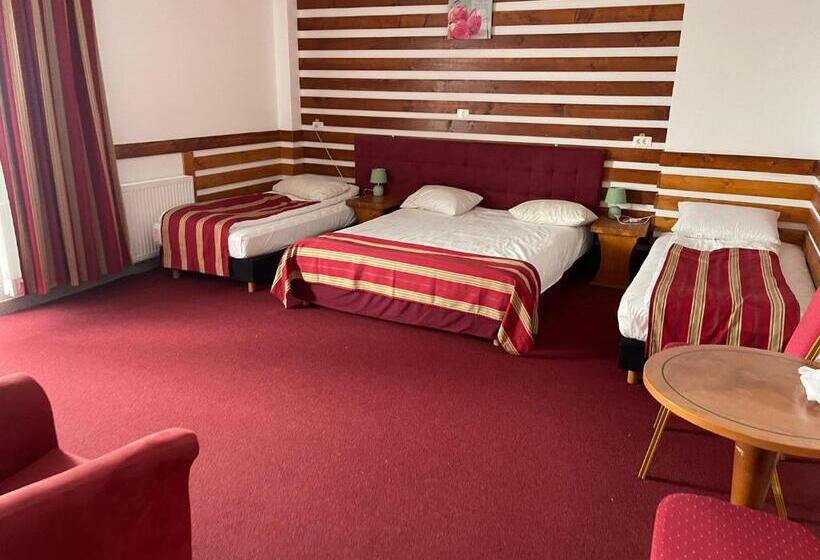 اتاق کلاسیک چهارنفره, Cabana Sura Getilor Arinis
