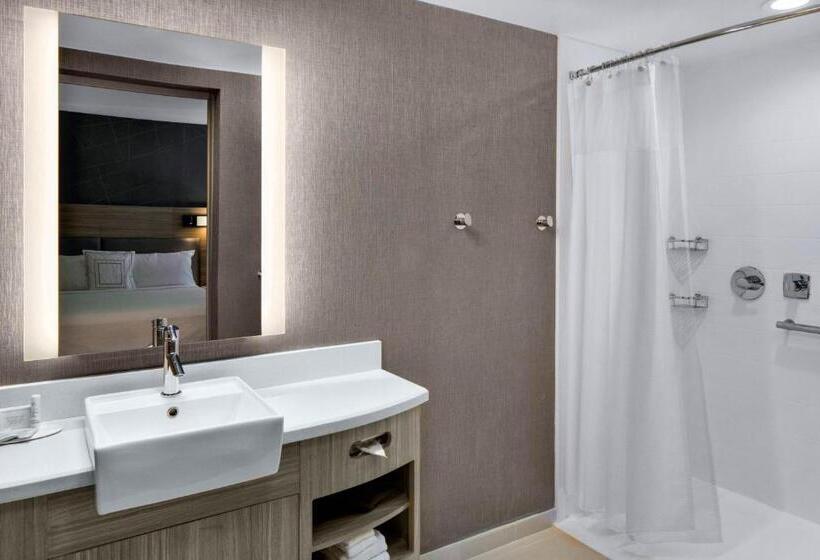 Люкс, Springhill Suites Hilton Head Island