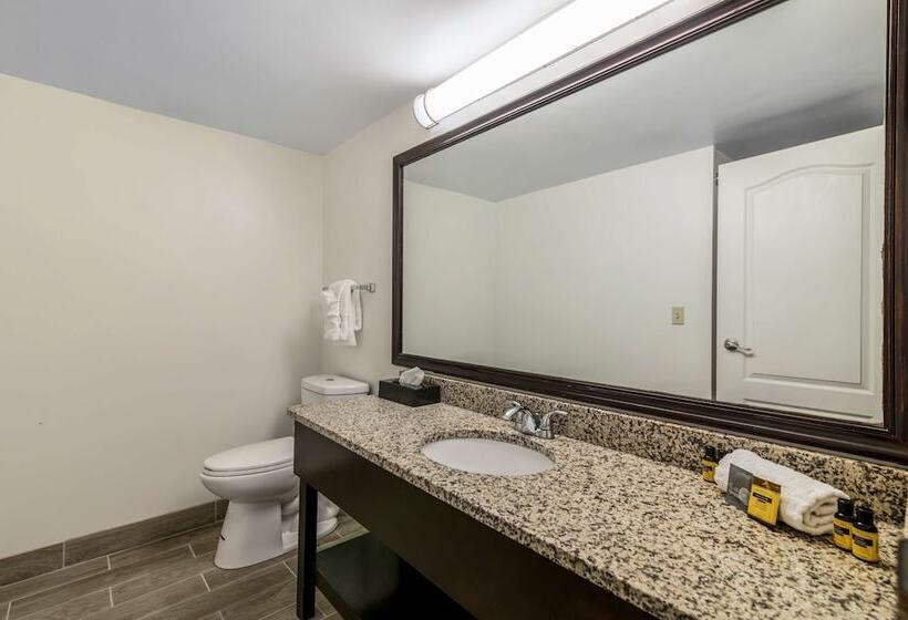 סוויטה מותאמת לאדם עם מוגבלויות, Best Western Plus Brunswick Bath