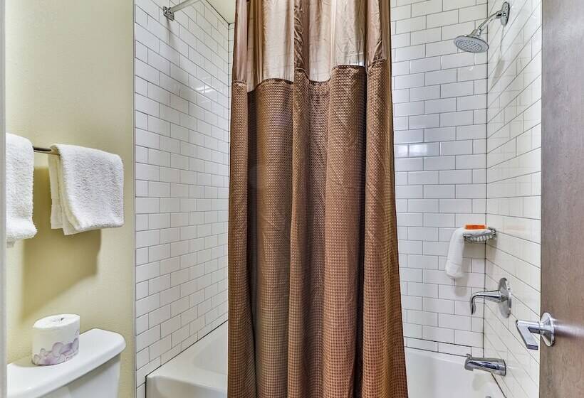 Студия Стандарт, Polynesian Hotel & Suites Wisconsin Dells/lake Delton