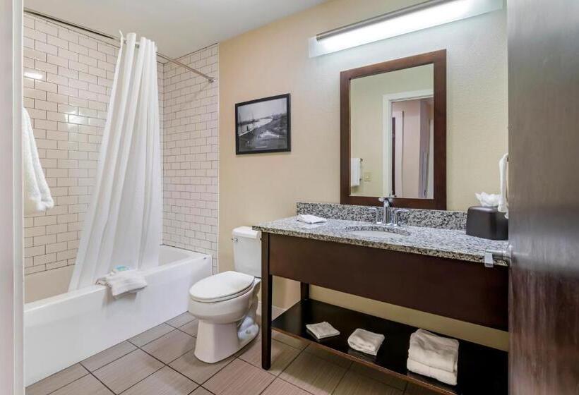 Апартаменты 2 спальни Вид на Бассейн, Polynesian Hotel & Suites Wisconsin Dells/lake Delton