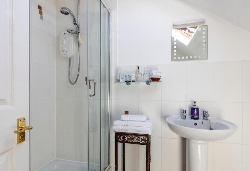 Номер Deluxe, Wynnstay House