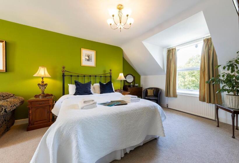 Номер Deluxe, Wynnstay House