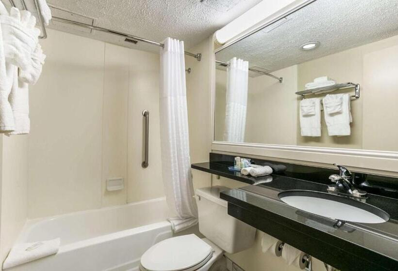 Номер Стандарт 2 Двуспальные Кровати, Clarion Hotel Bwi Airport Arundel Mills