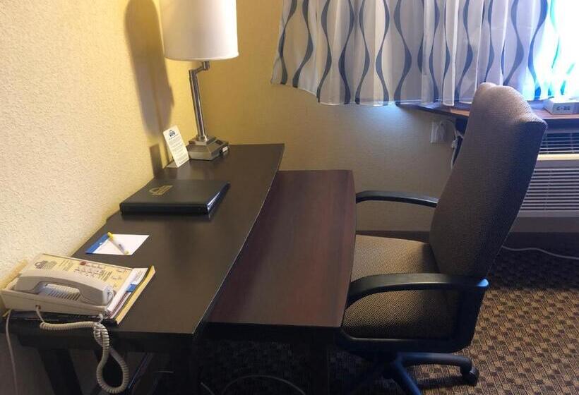 带大床的标准间, Days Inn & Suites By Wyndham Stevens Point