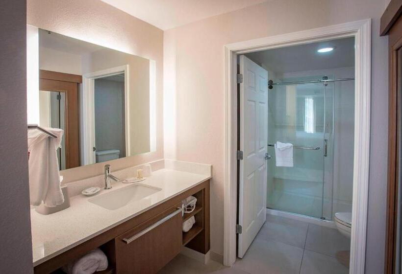 Студио Стандарт Кровать Кинг, Residence Inn By Marriott Pensacola Downtown