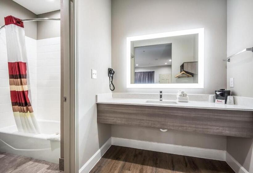 חדר דחוקס עם מיטת קינג, Red Roof Inn Baytown