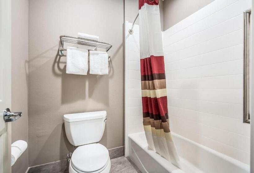 חדר דלוקס, Red Roof Inn Baytown