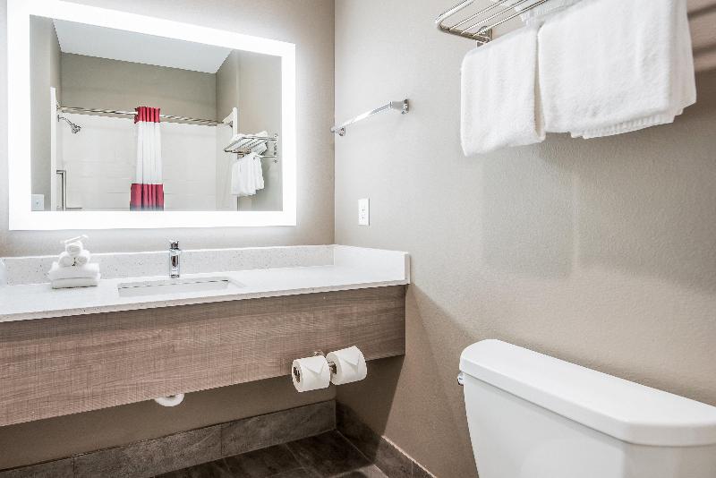 חדר דחוקס עם מיטת קינג, Red Roof Inn Baytown