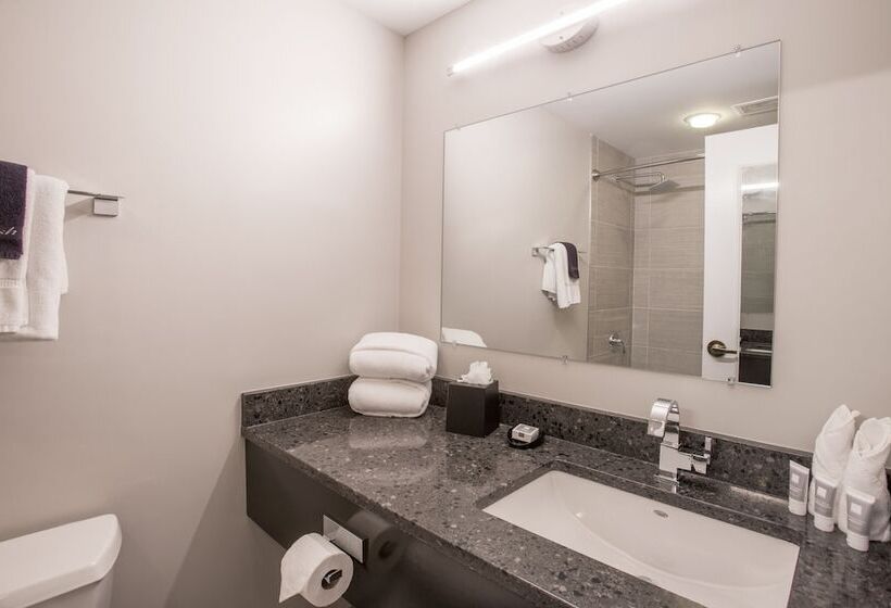 프리미엄 룸, Magnolia Hotel Omaha