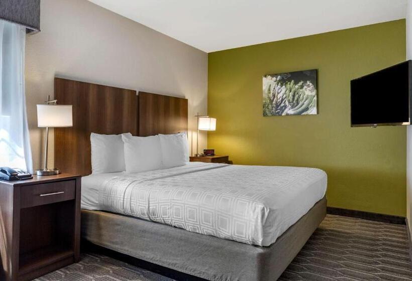 חדר סטנדרט עם מיטת קינג, Best Western North Phoenix