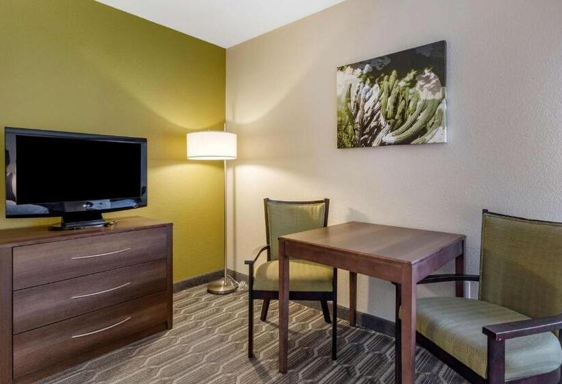 اتاق استاندارد با تخت بزرگ, Best Western North Phoenix