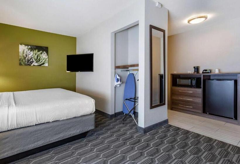 חדר סטנדרט עם מיטת קינג, Best Western North Phoenix