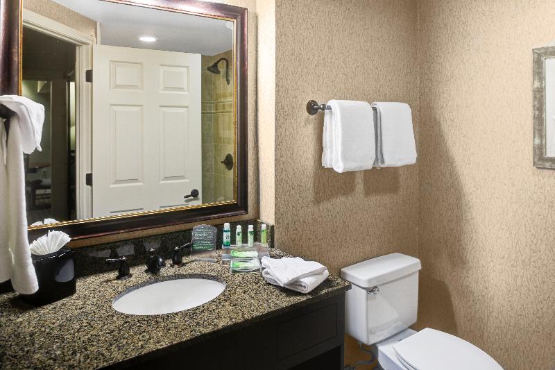 Suíte Executivo, Holiday Inn Express Hotel & Suites Atlanta Buckhead, An Ihg