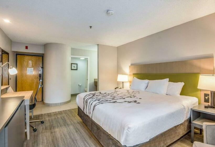 キングサイズベッドのスタンダードルーム, Sleep Inn Fort Mill Near Carowinds Blvd