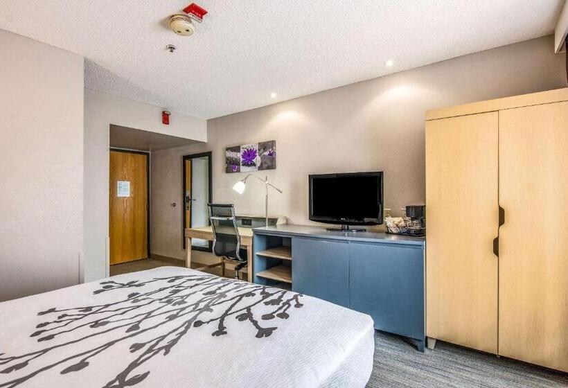 身障者適用スタンダードルーム, Sleep Inn Fort Mill Near Carowinds Blvd