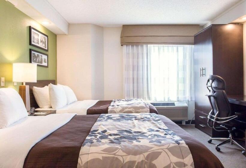 Standard Szoba 2 Franciaággyal, Sleep Inn Nashville North   Downtown Area