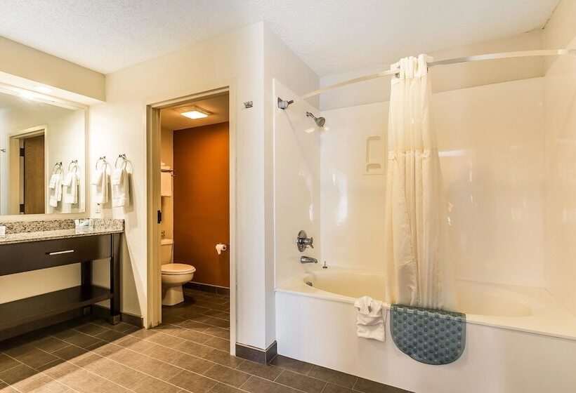 Номер Стандарт 2 Двуспальные Кровати, Sleep Inn Springfield South I60 Near Medical District