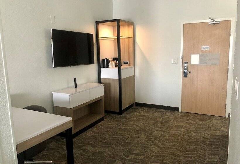 Suite, Springhill Suites Dallas Arlington North