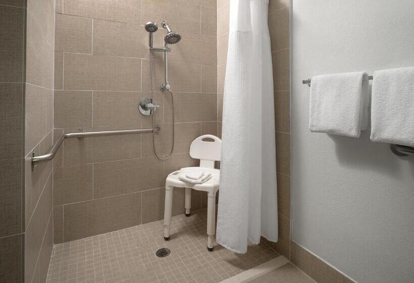 Suite, Springhill Suites Dallas Arlington North