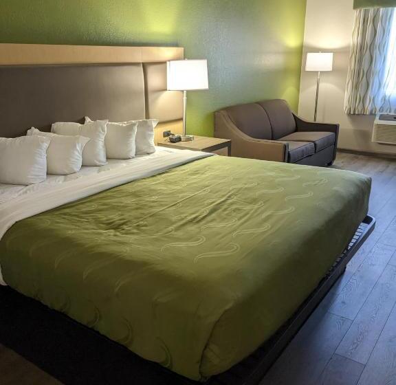 غرفة قياسية سرير كينج, Quality Inn & Suites