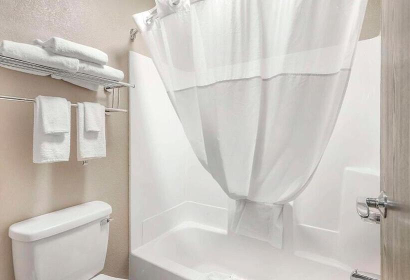 غرفة قياسية سرير كينج, Quality Inn & Suites