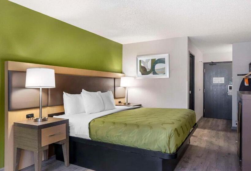 Стандартный Номер Кровать Кинг, Quality Inn & Suites