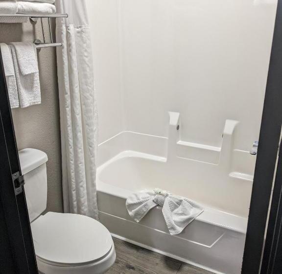 Люкс Кровать Кинг, Quality Inn & Suites