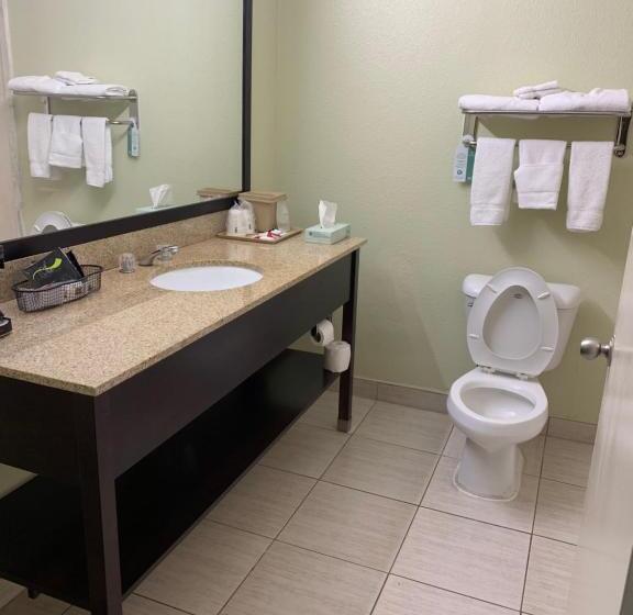 스위트 킹사이즈 침대, Super 8 By Wyndham Hull Street Midlothian Richmond Area