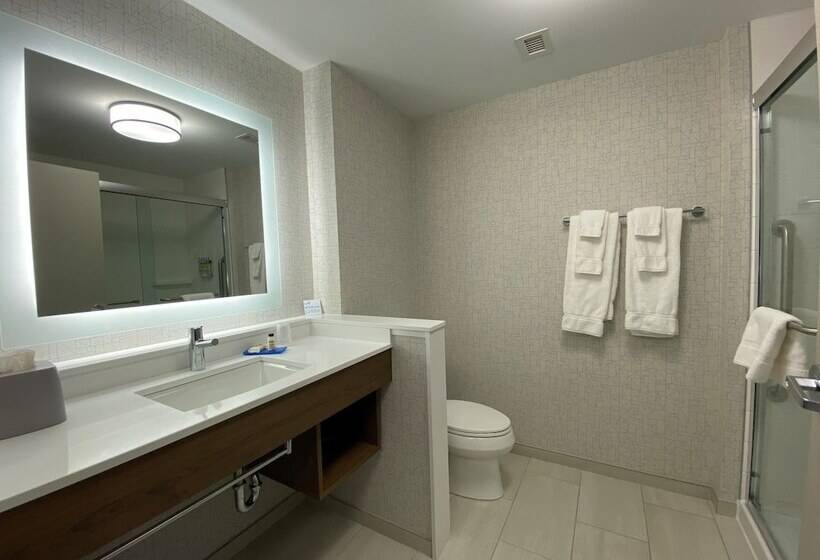 Люкс, Holiday Inn Express & Suites   Aurora, An Ihg