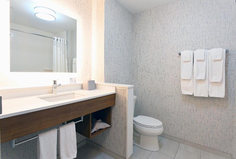 Номер Стандарт Кровать Кинг Адаптированный для Инвалидов, Holiday Inn Express & Suites   Aurora, An Ihg