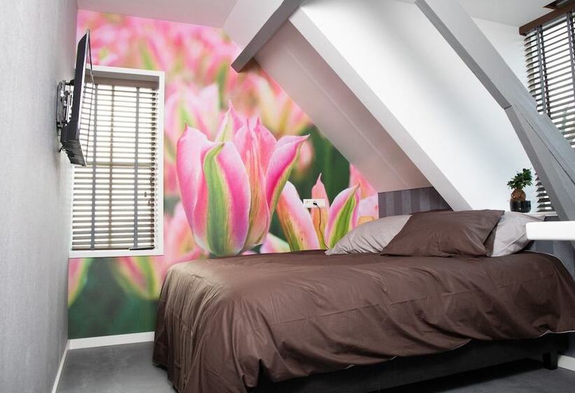 디럭스 룸, House Of Tulips