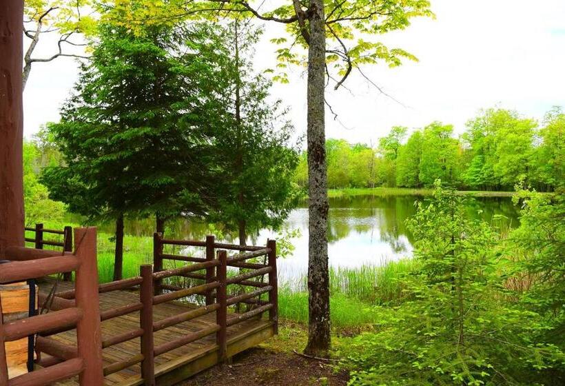 Дом 1 Спальня, Drummond Island Resort & Conference Center