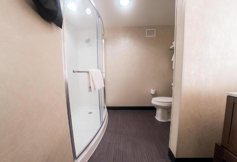 Люкс Кровать Кинг, Holiday Inn & Suites Philadelphia W   Drexel Hill, An Ihg