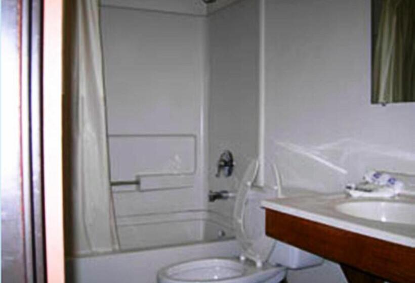 Номер Стандарт 2 Двуспальные Кровати, American Innalexander City