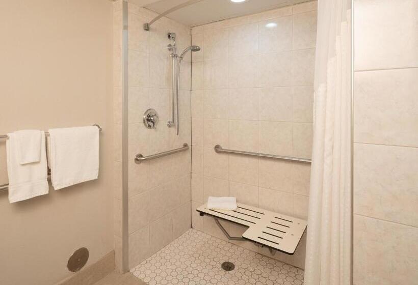 Номер Стандарт Кровать Кинг Адаптированный для Инвалидов, Holiday Inn Express Rochester   Greece, An Ihg