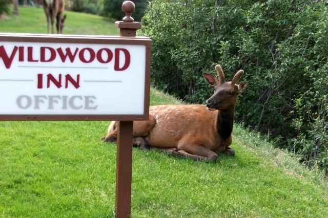 Люкс с гидромассажем, Wildwood Inn