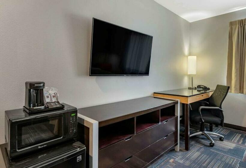 اتاق استاندارد با تخت بزرگ, Quality Inn & Suites Evansville Downtown