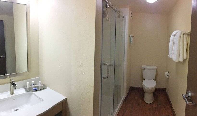 Люкс Адаптированный для Инвалидов, Best Western Plus South Coast Inn
